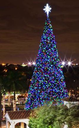 ChristmasTreeArial-DELRAY-BEACH